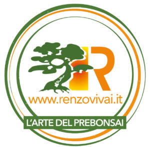 Renzo Vivai - Vendita PreBonsai in Italia - Azienda Italiana